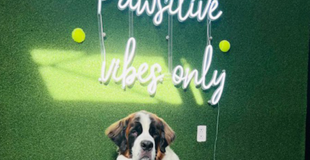 Courtesy Barktown Willoughby, Luca's Barkery